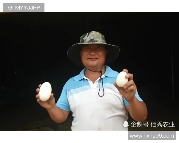 专访赵强:探讨网球界的成功秘诀与个人成长之路 专访赵强:探讨网球界的成功秘诀与个人成长之路