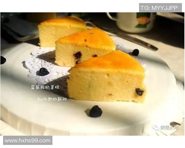 多特蒙德足球蛋糕的创意制作与美味分享,畅享足球与甜点的完美结合 多特蒙德足球蛋糕的创意制作与美味分享,畅享足球与甜点的完美结合